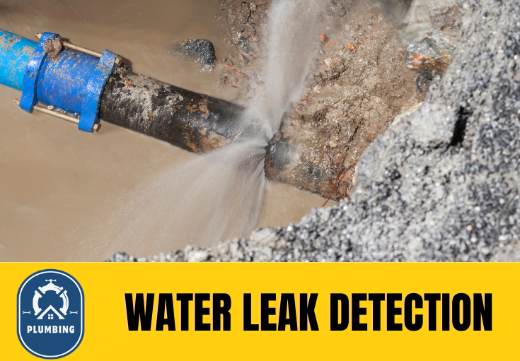 leak detection Maidstone