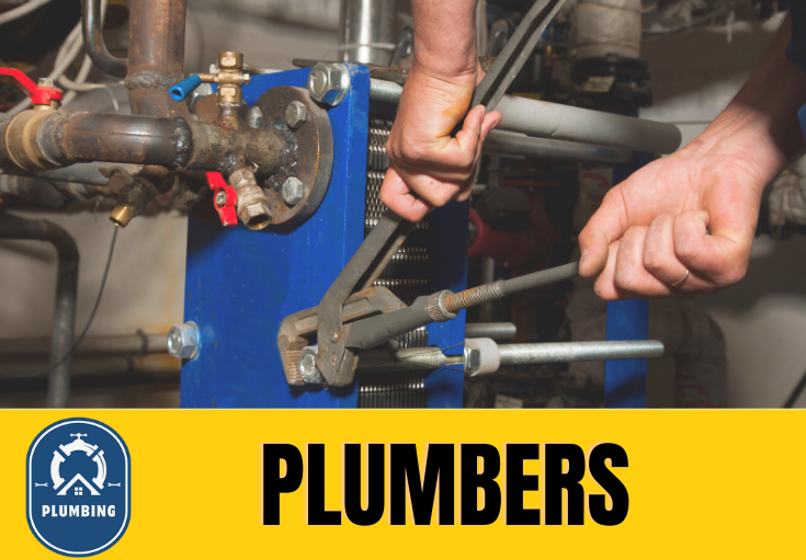  plumber Bearsted